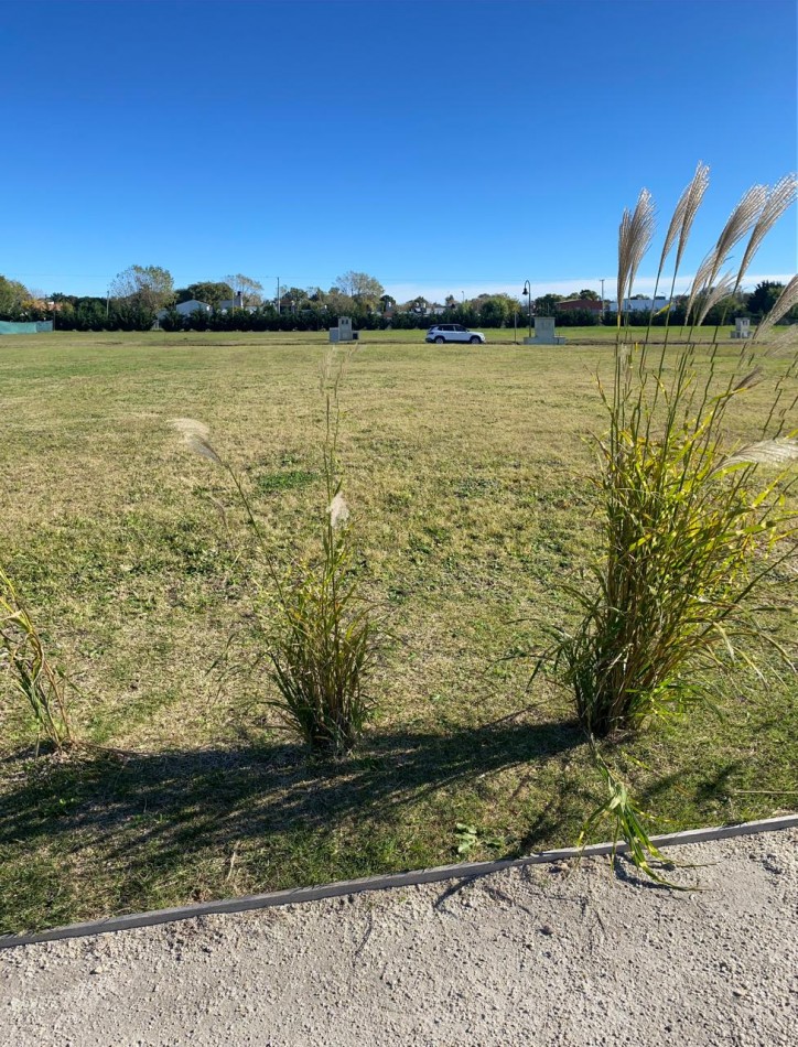 Lote en Venta - Developer Park