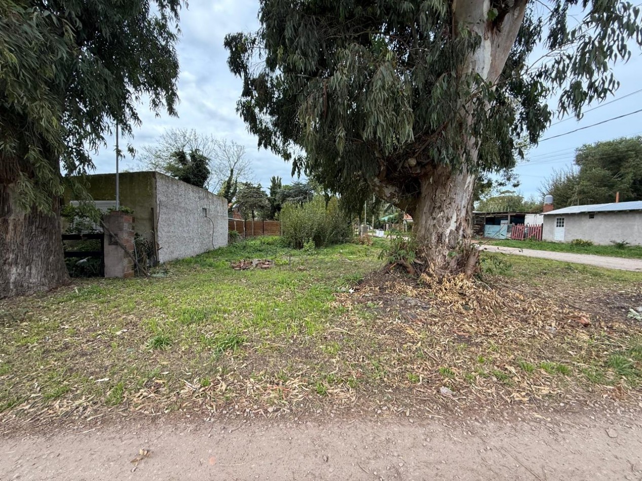 Lote en Venta - Felix U Camet