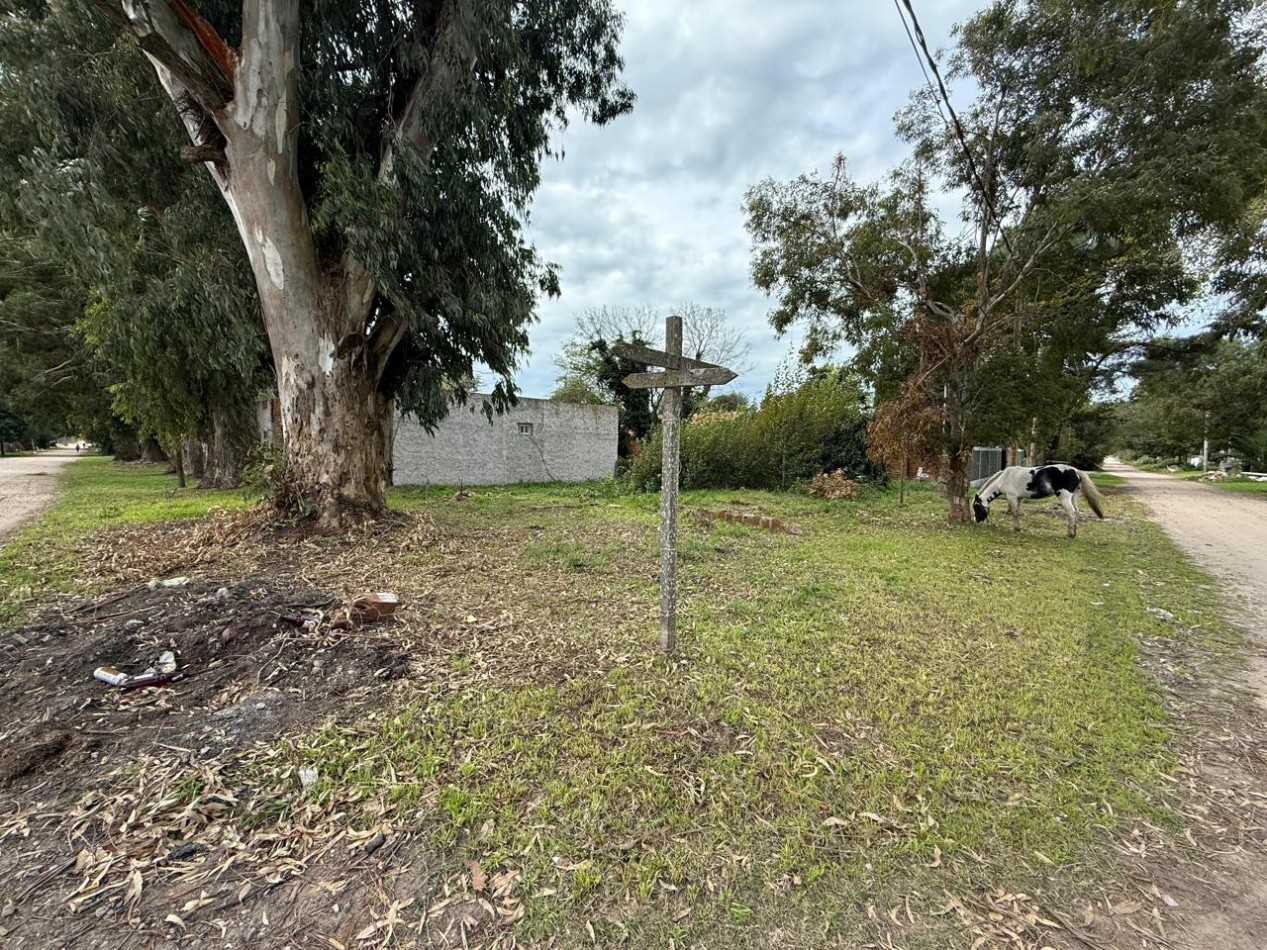 Lote en Venta - Felix U Camet