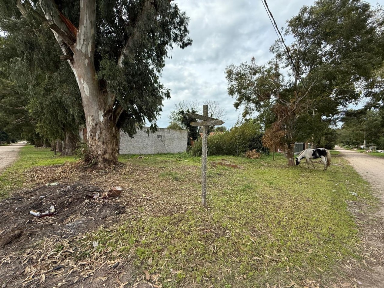 Lote en Venta - Felix U Camet