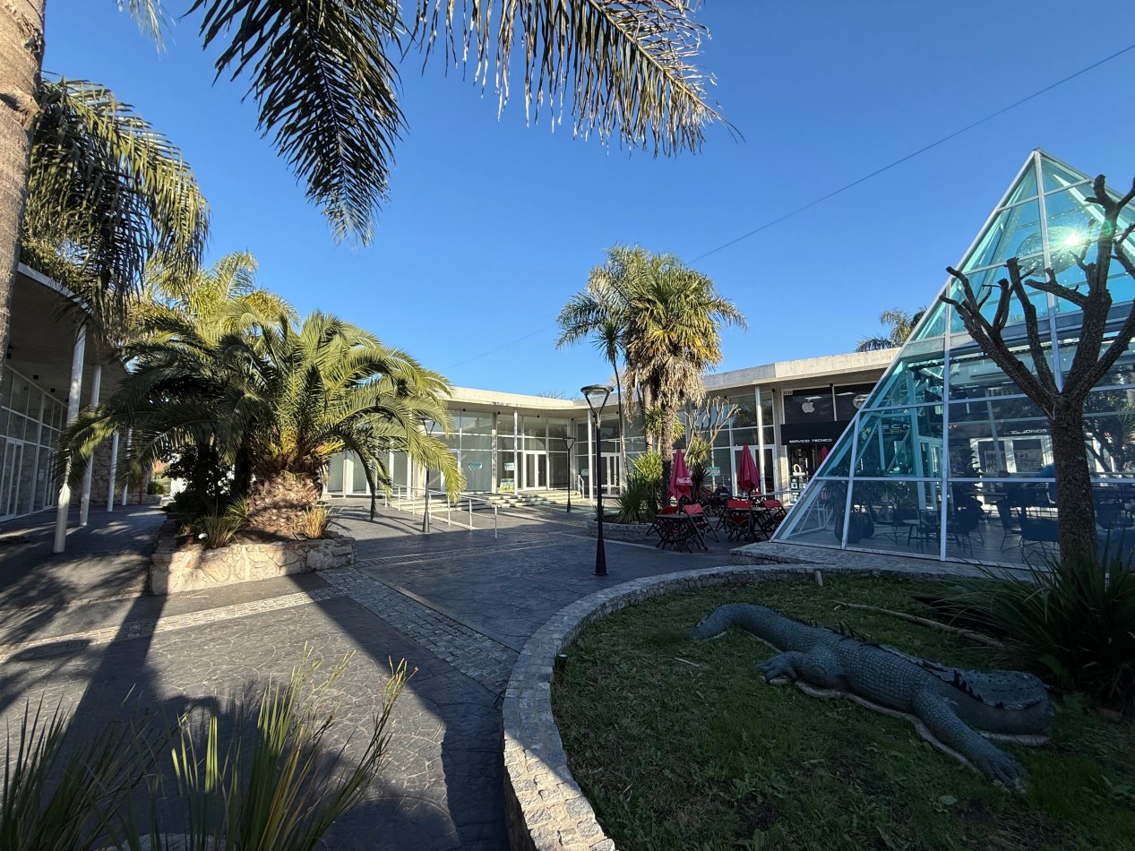 Locales en Alquiler - Complejo Las Palmeras