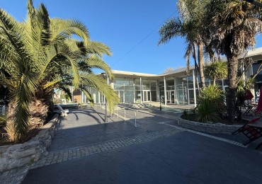 Locales en Alquiler - Complejo Las Palmeras